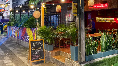 Terraza con plantas y mural de colores